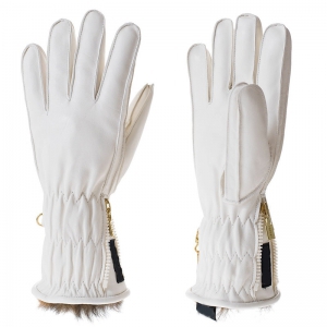 Ski Gloves