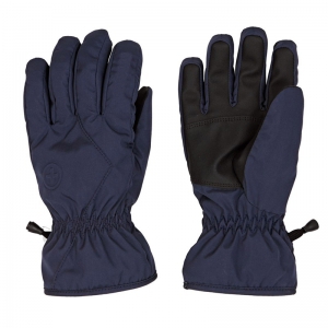 Ski Gloves